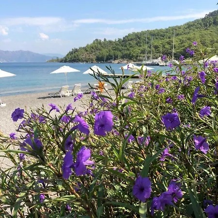 Maris Butik Hotel Turunç