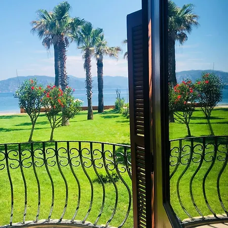 Maris تورونشْ